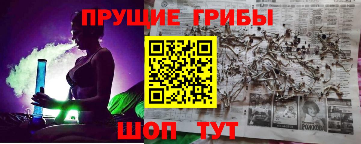 Галлюциногенные грибы Cubensis Апрелевка